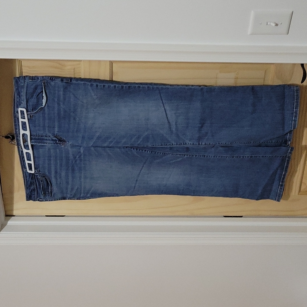 AE Plus Size Jeans
